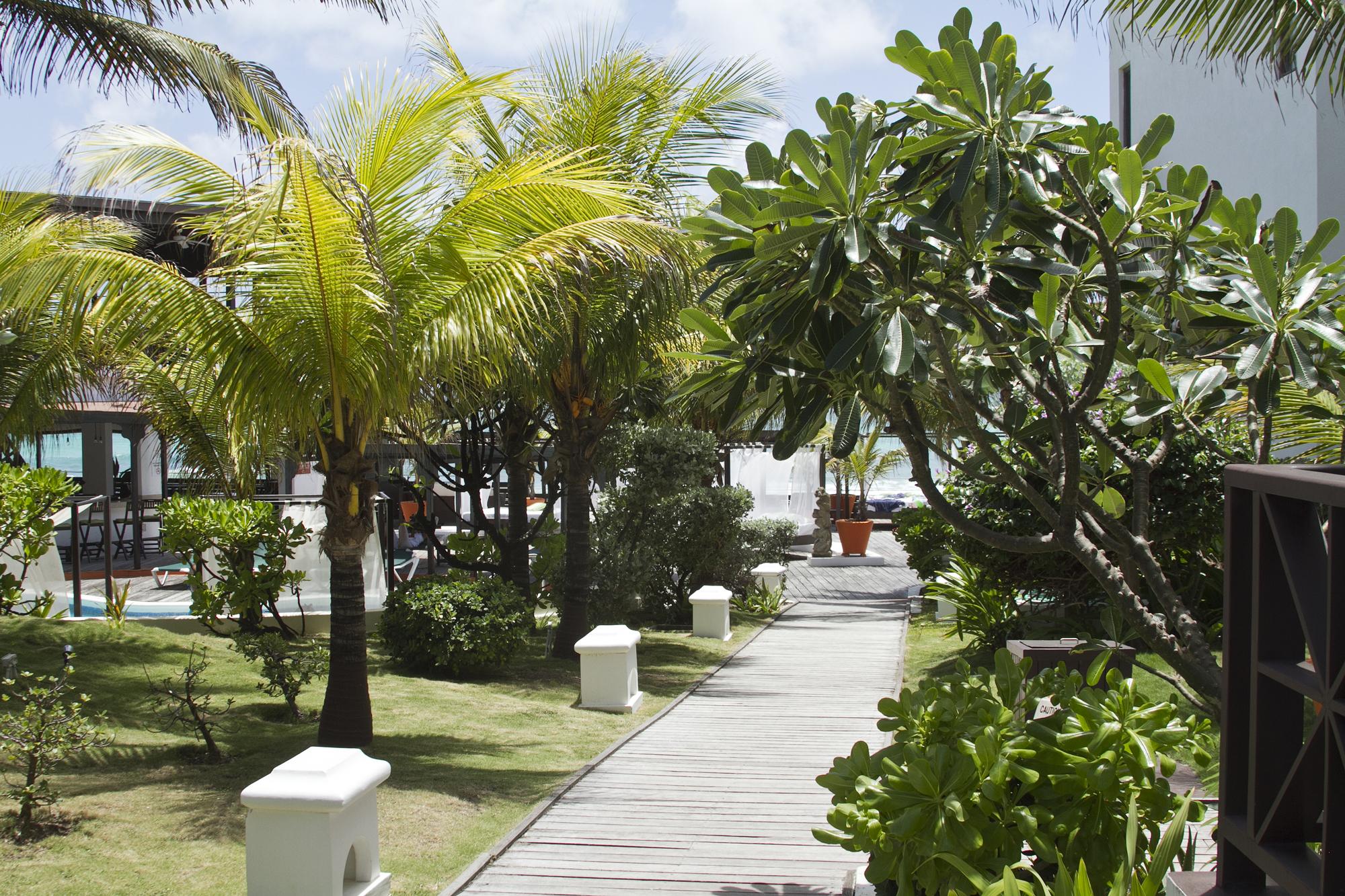 Silver Point Villa Hotel クライストチャーチ エクステリア 写真